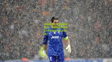 中超再迎一位准世界杯铁卫，深圳新鹏城锁定29岁欧冠主力后卫加盟！